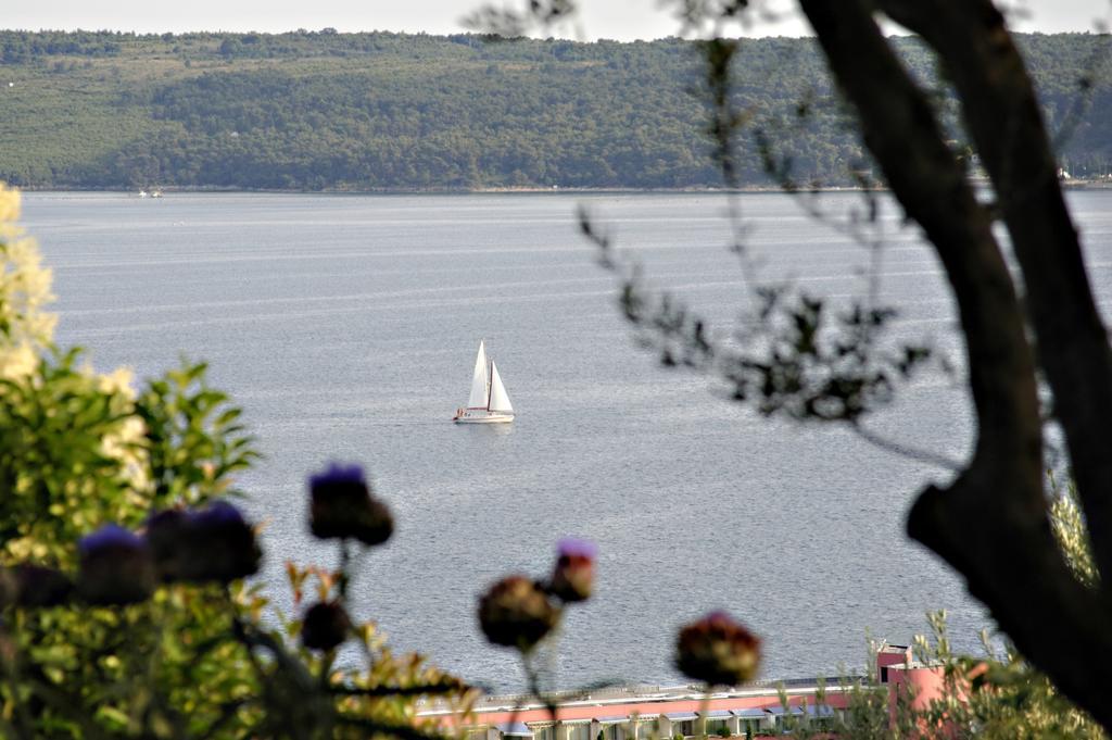 Apartment Rubin Piran Bagian luar foto